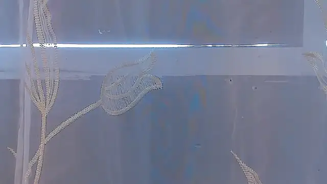 AliceStevens_ webcam