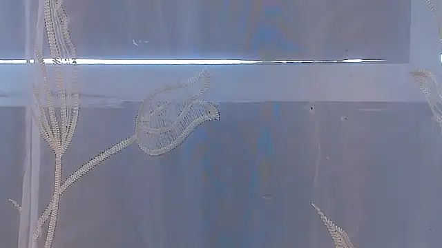 AliceStevens_ webcam