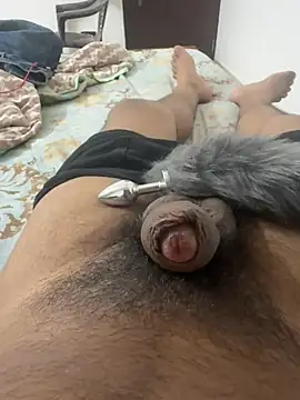 Indian_slave_dog webcam