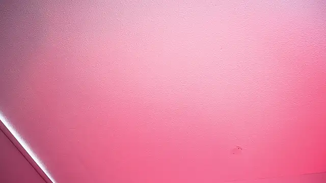 Tiffany_sander webcam