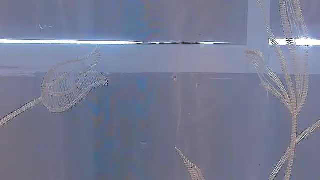 AliceStevens_ webcam