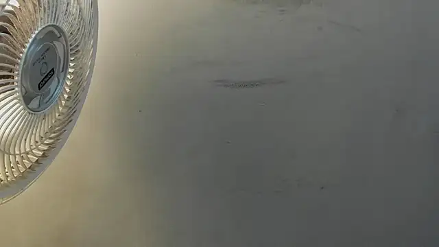 dylaans19 - Dylaans19's free webcam