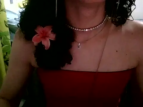 janjinha_trans webcam