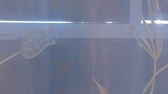 AliceStevens_ webcam