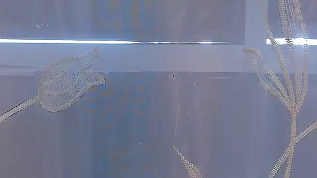 AliceStevens_ webcam