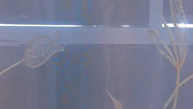 AliceStevens_ webcam