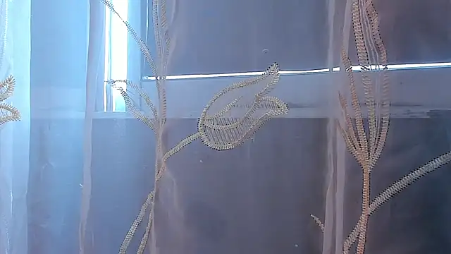 AliceStevens_ webcam