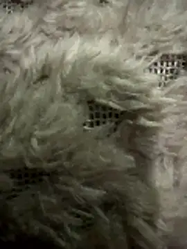 anonimgirl18old webcam