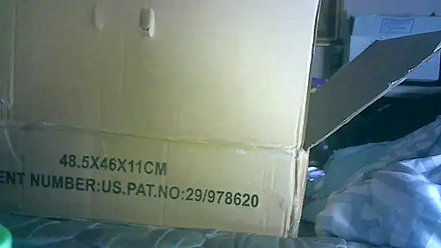 ON3YOULLN3VER_FIR3 webcam