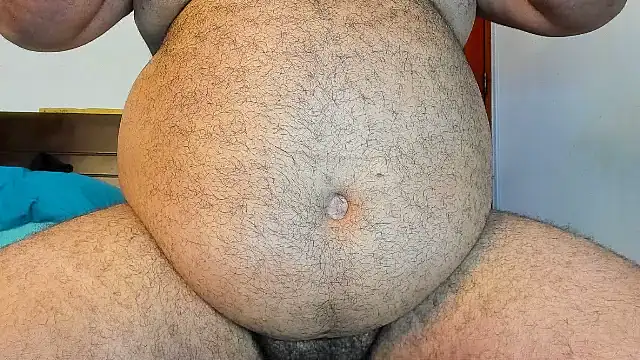 Bearspigdirty webcam