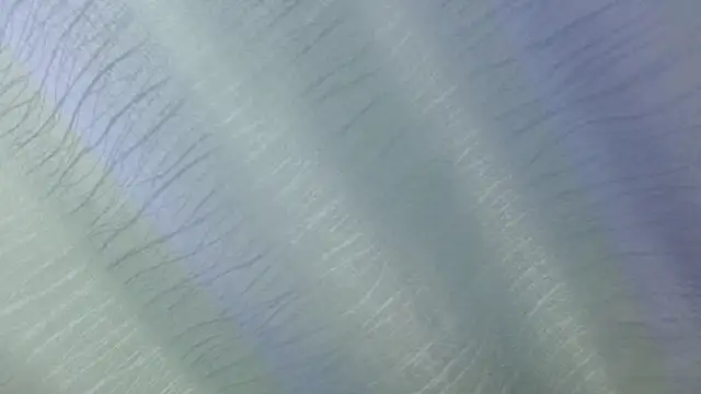 aaron_antonella_mds webcam