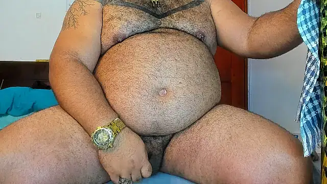 Bearspigdirty webcam