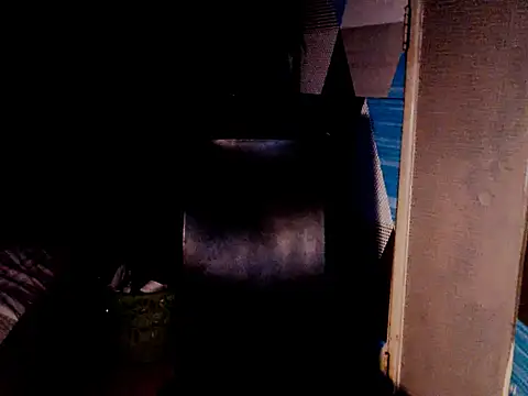 Savannah_Cock webcam