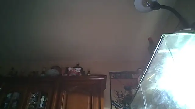 zzzzipman92 (Ask my age) - #bisexuals #brunettes #cam2cam #cheap-privates #cuckold #curvy #dildo-or-vibrator #handjob #hd #kissing #masturbation #small-audience #spanking #swallow #white