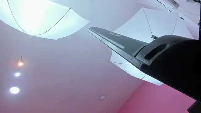 rousse_millers webcam