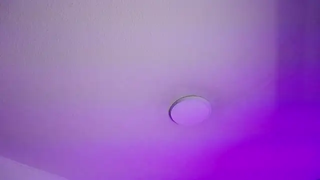 _Charlotte_Collins_ webcam