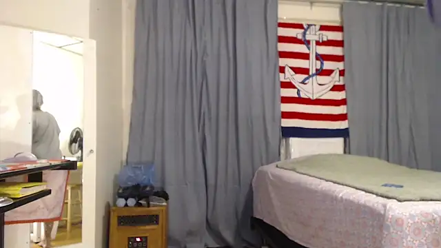 ANALTRAINING2 webcam