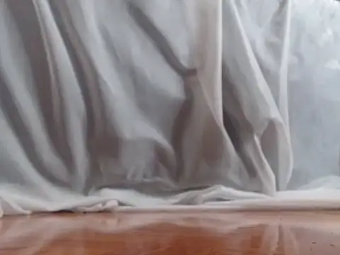 alphaswitchard webcam