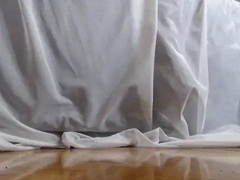 alphaswitchard webcam