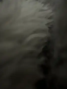 OohedSpectrum webcam