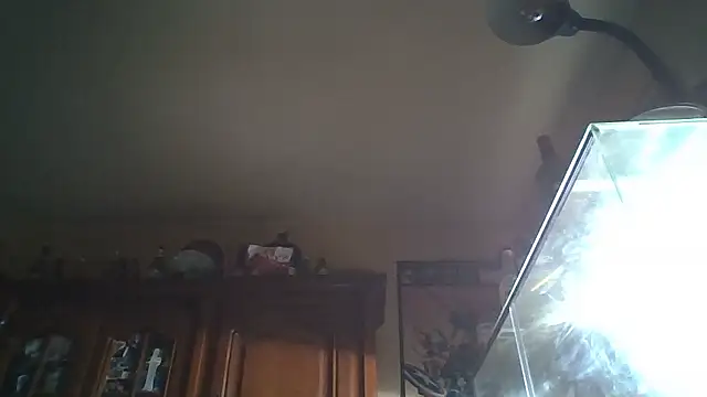 zzzzipman92 (Ask my age) - #bisexuals #brunettes #cam2cam #cheap-privates #cuckold #curvy #dildo-or-vibrator #handjob #hd #kissing #masturbation #small-audience #spanking #swallow #white