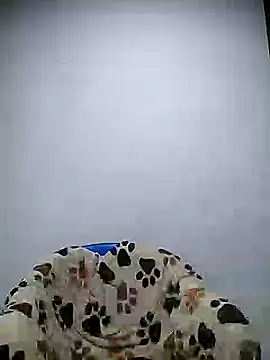 Cameron_puppy webcam