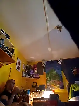 AutumnLights420 webcam