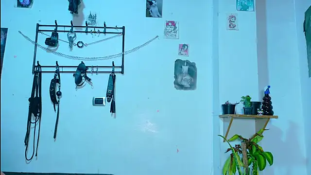 clydexxxbunny webcam