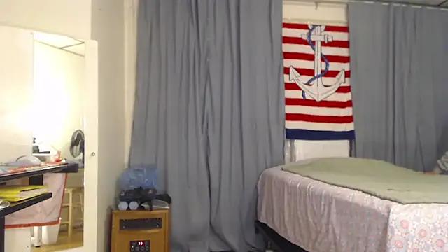 ANALTRAINING2 webcam