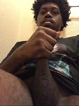 tericmidnight webcam