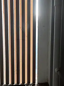 boyfromMum_bai webcam