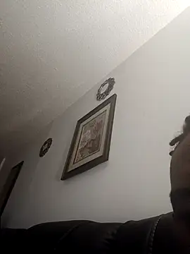 ReallyReallyReal webcam