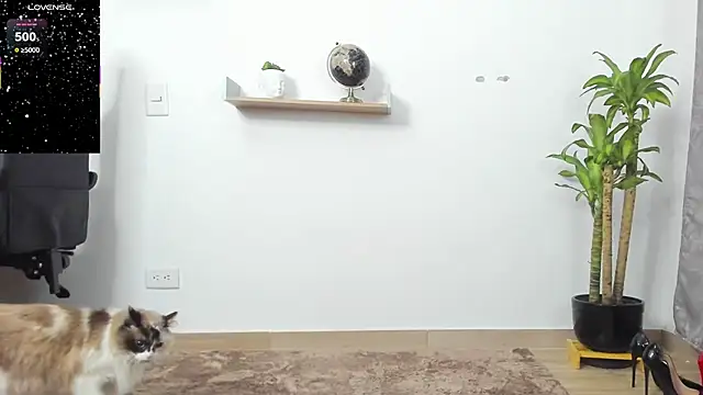 SophieBaker__ webcam