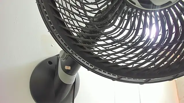 Rosse__Carter1 webcam