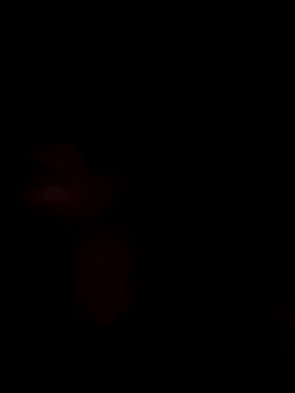 HONEYSWEETS_LIVE webcam