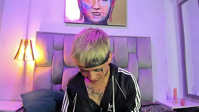 Heiden-Stiven webcam