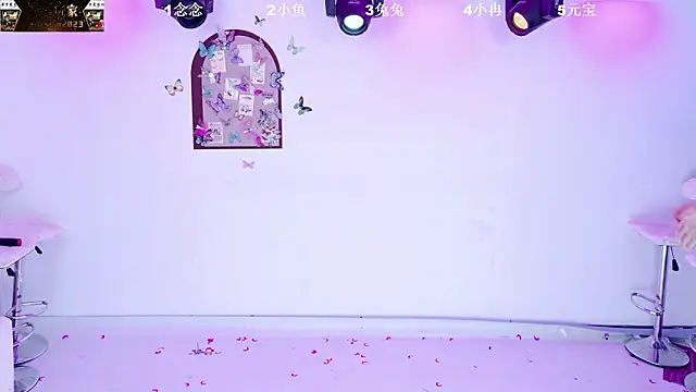 美女XK-2005在线直播