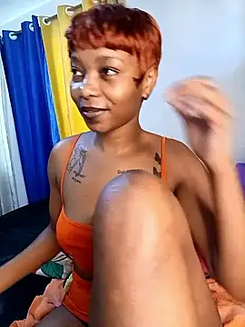 schatz_harvin webcam