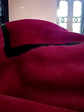 indiandesicpl2026 webcam