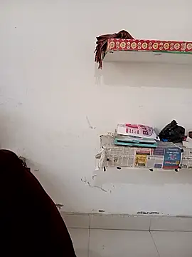 Sarita-school webcam