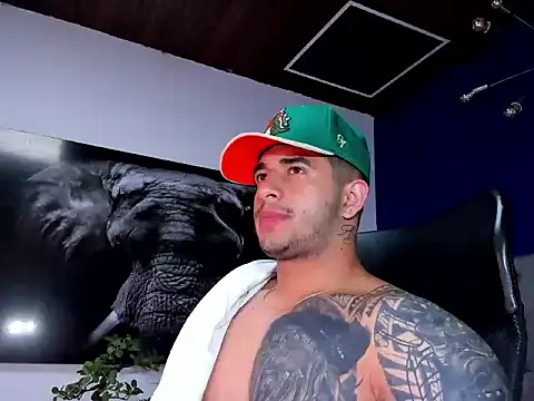 king_falconer webcam