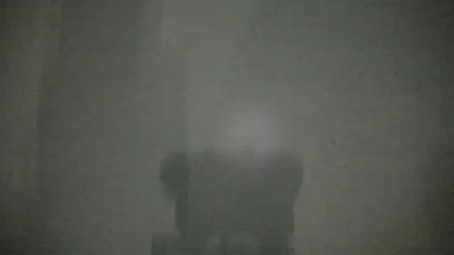 vannellope_96 webcam