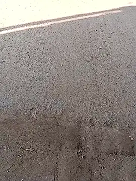 sexsexbo (M young) - 50