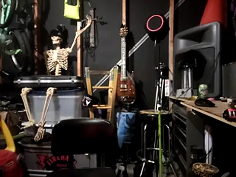 thejuicybacon webcam