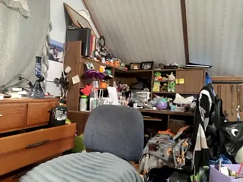 thejuicybacon webcam