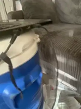 southernflair webcam