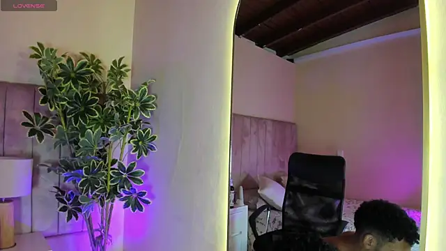 aries_unbound webcam