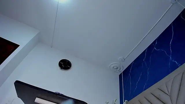 Ibbie_drastic webcam