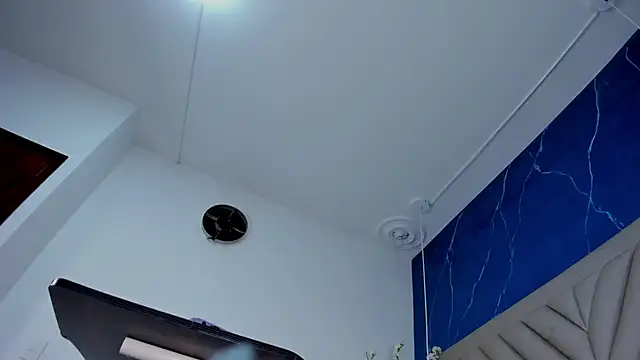 Ibbie_drastic webcam