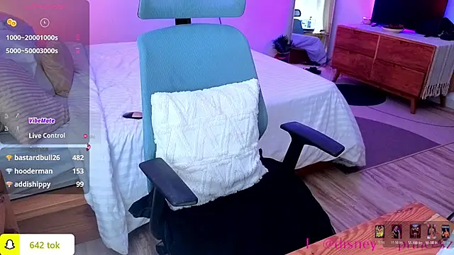 PrincessVS webcam